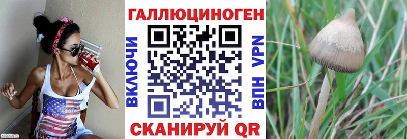 Псилоцибиновые грибы прущие грибы Любим