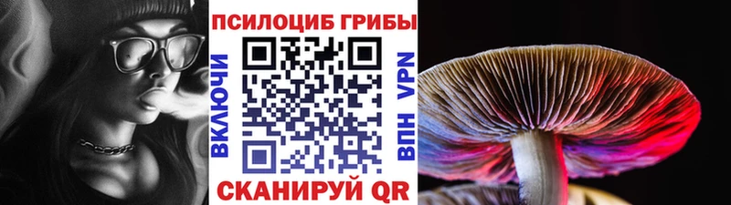 Псилоцибиновые грибы GOLDEN TEACHER Любим